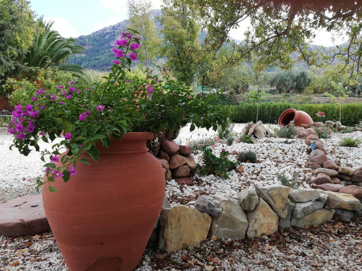 Alojamiento Rural Casa Fuente Del Prado La Iruela Extérieur photo